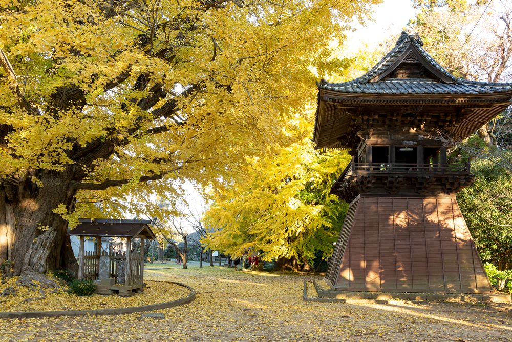 西蓮寺の画像 - 4枚目