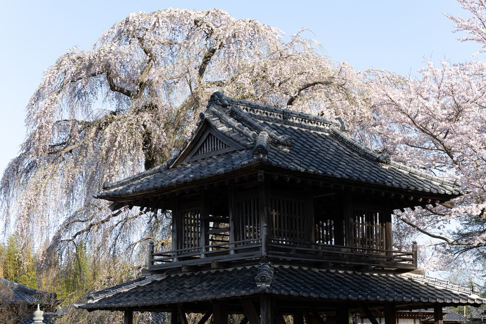 親鸞聖人御旧跡真宗大谷派阿彌陀寺の画像 - 3枚目