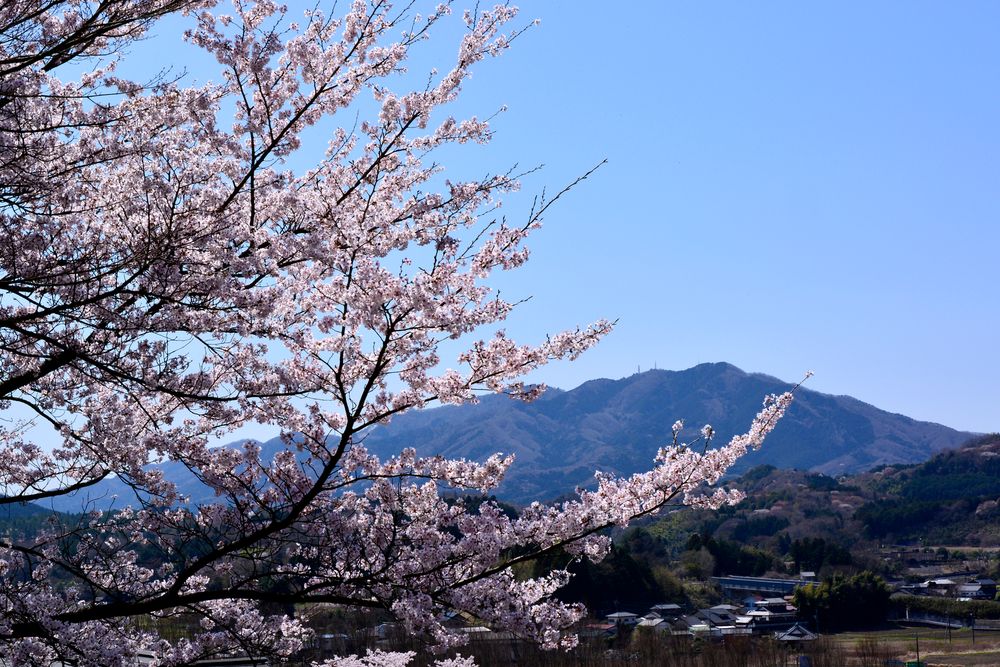 常陸国 出雲大社の画像 - 5枚目