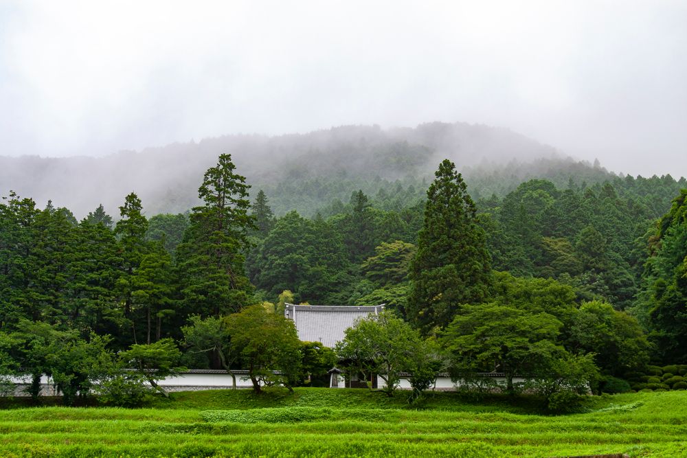 板敷山大覚寺の画像 - 2枚目