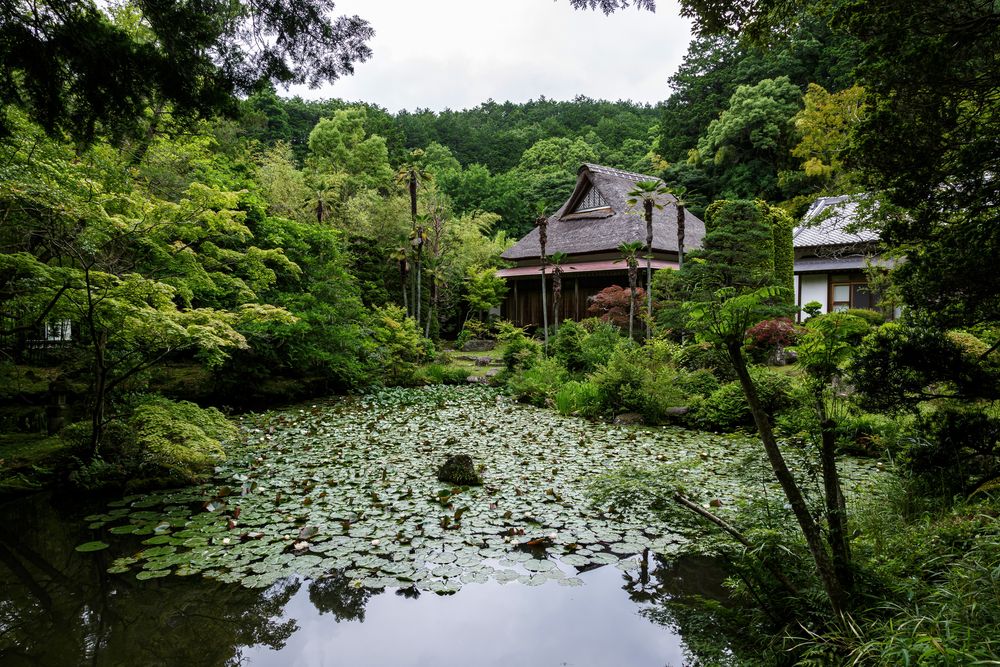 板敷山大覚寺の画像 - 4枚目
