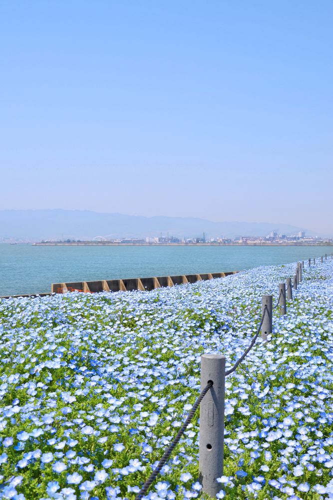 大阪まいしまシーサイドパークの画像 - 6枚目