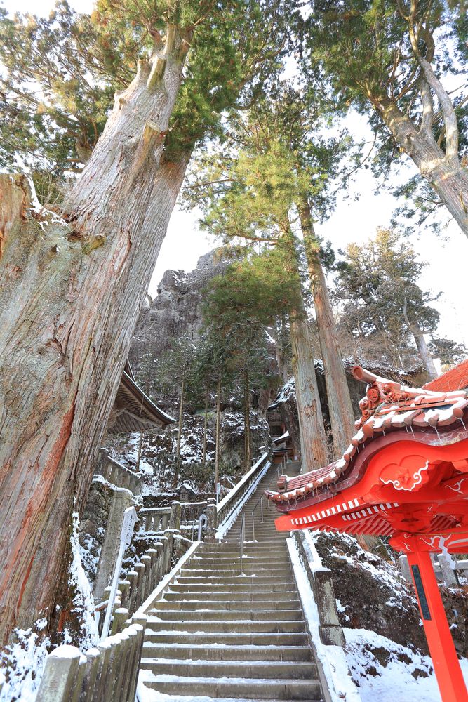 矢立杉(国指定天然記念物)の画像 - 2枚目