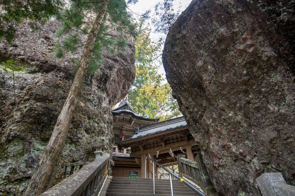 矢立杉(国指定天然記念物)の画像 - 3枚目