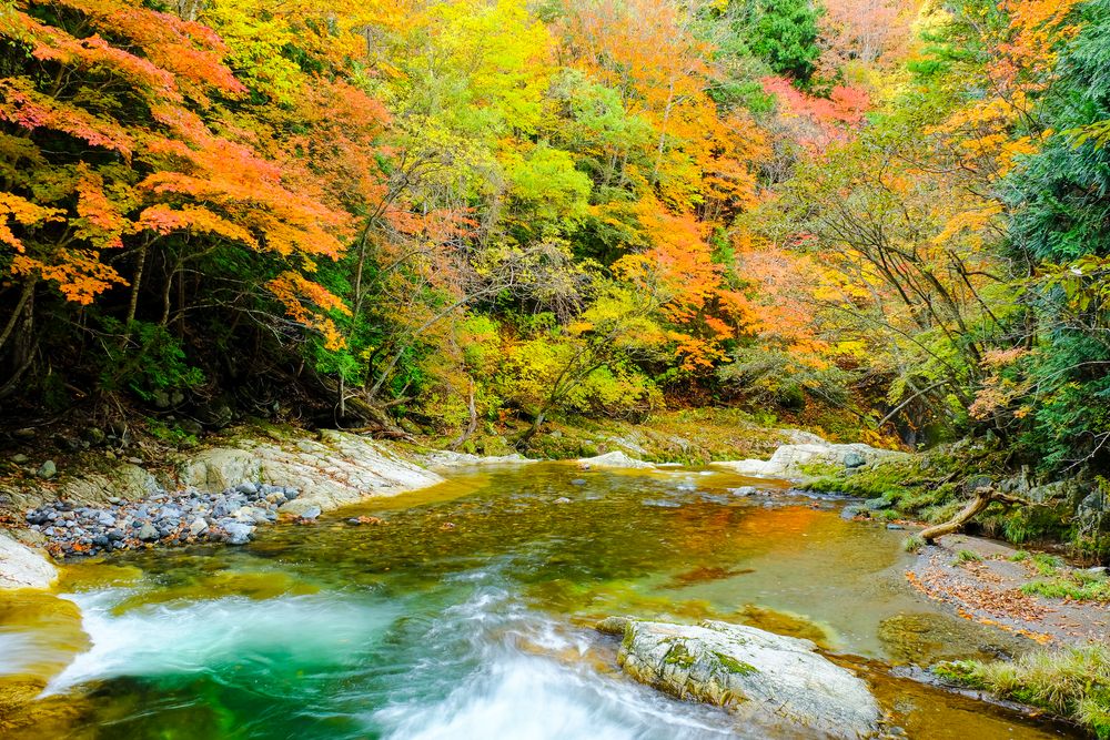 照葉峡の画像 - 2枚目