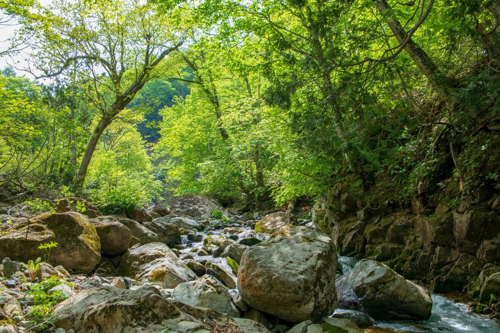 照葉峡の画像 - 3枚目