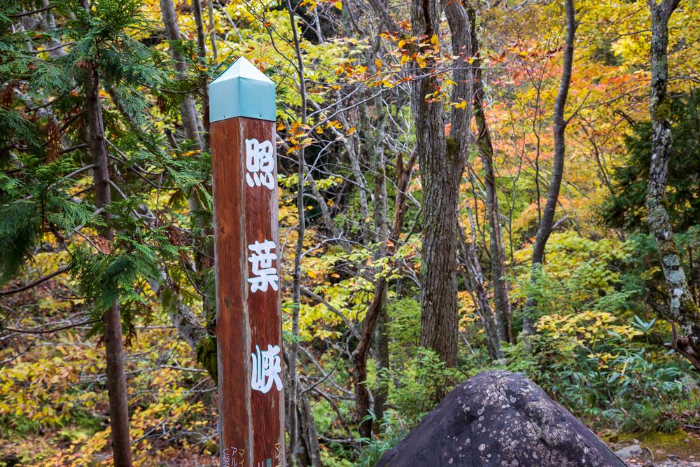 照葉峡の画像 - 5枚目