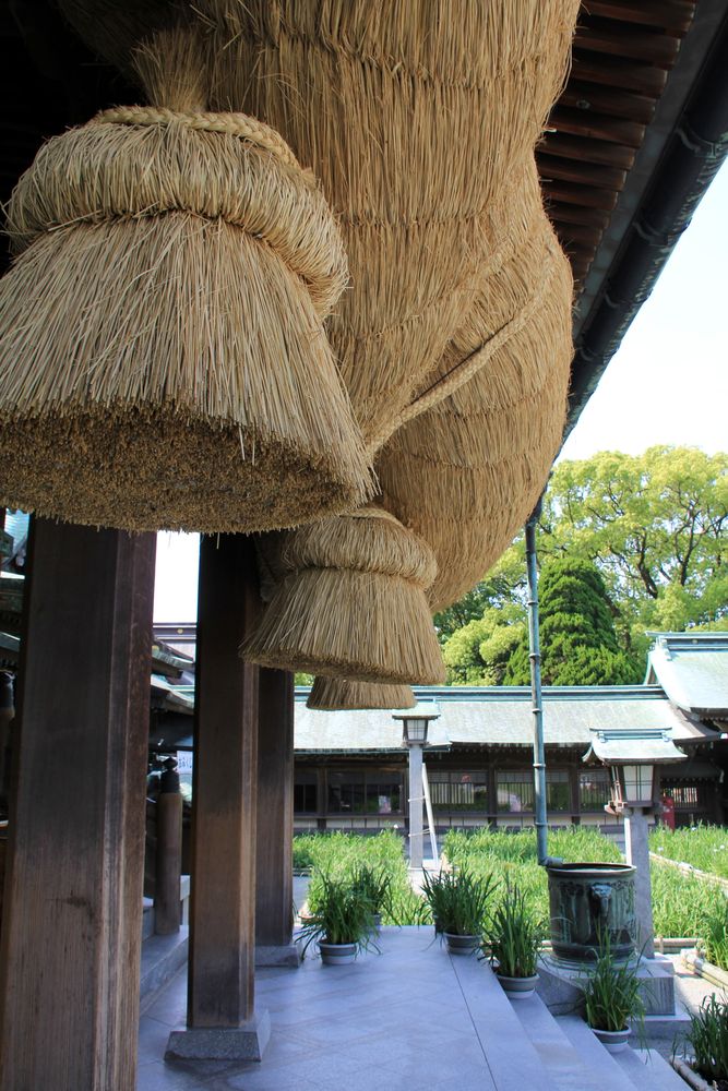宮地嶽神社の画像 - 7枚目