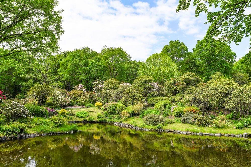 赤城自然園の画像 - 2枚目