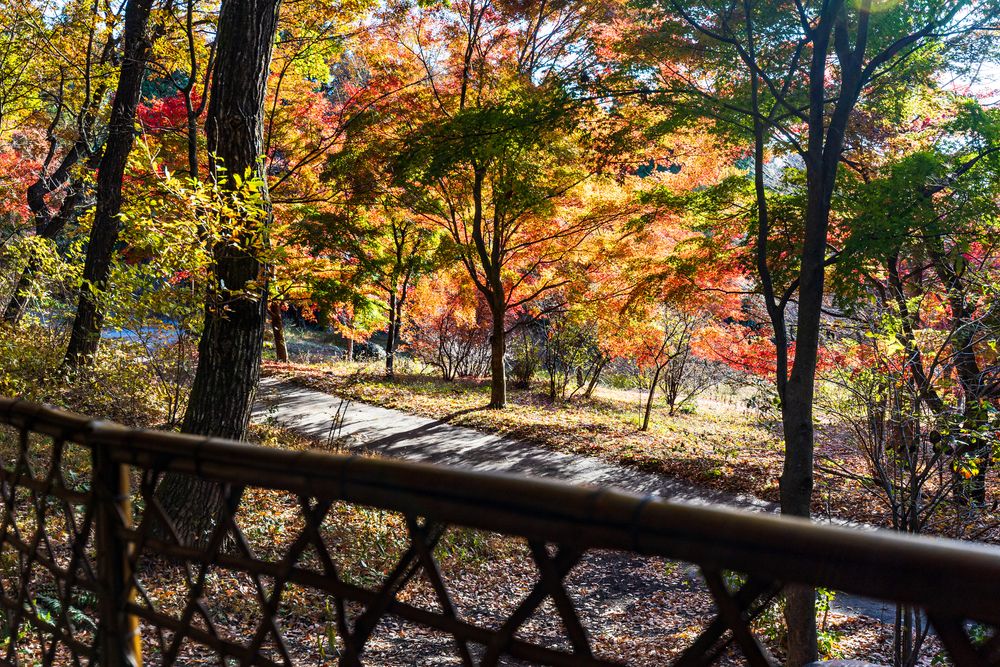 赤城自然園の画像 - 4枚目