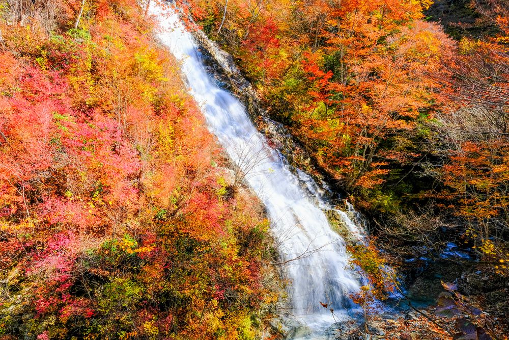 しゃくなげの滝の画像 - 3枚目