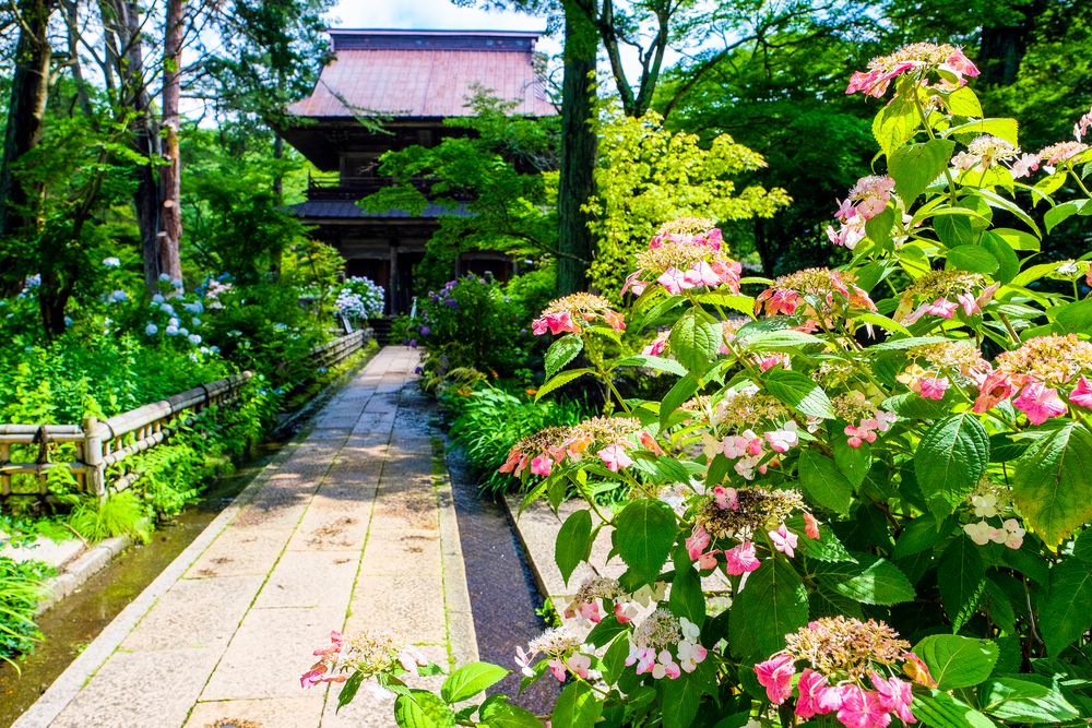 吉祥寺の画像 - 2枚目