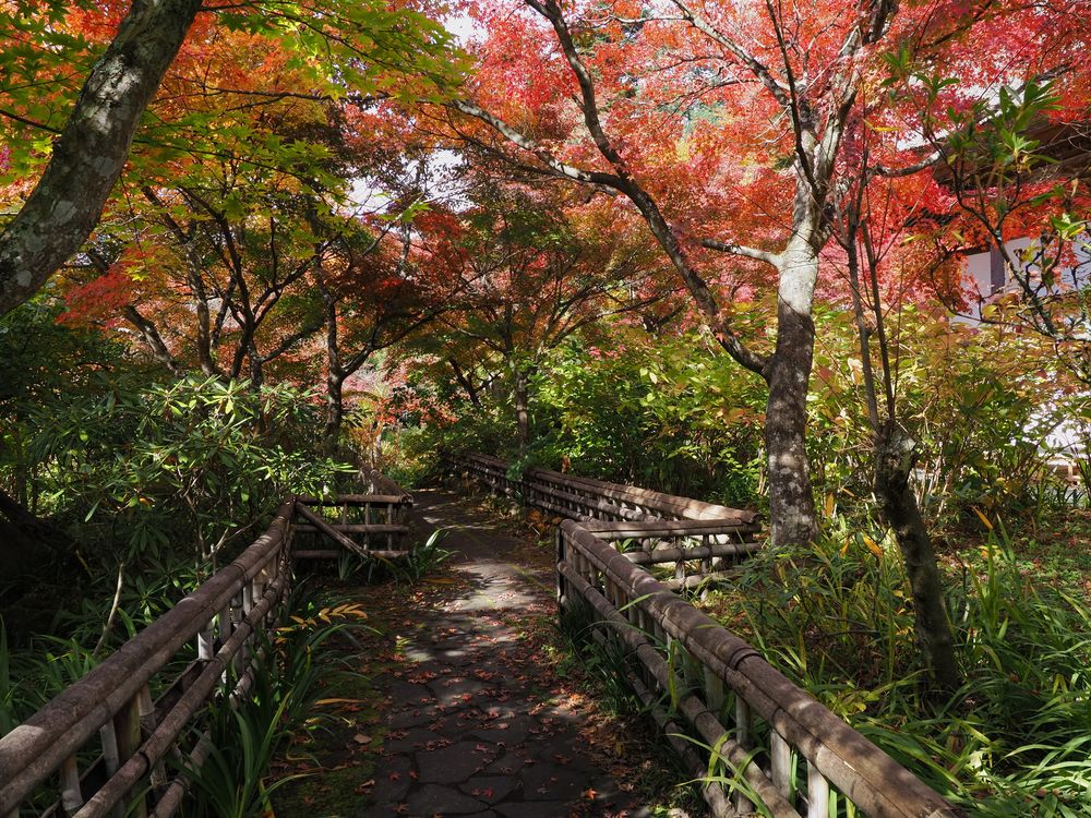 吉祥寺の画像 - 4枚目