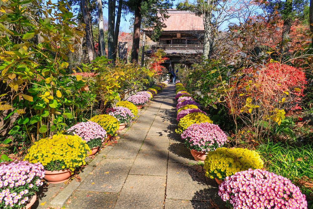 吉祥寺の画像 - 5枚目