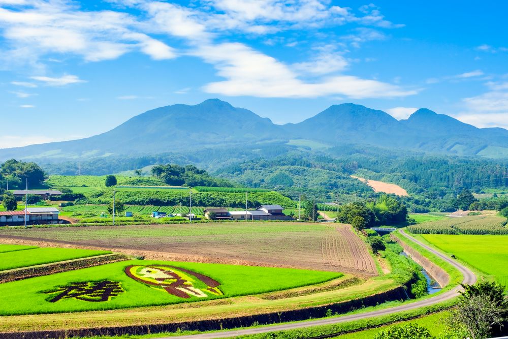 道の駅 中山盆地の画像 - 4枚目