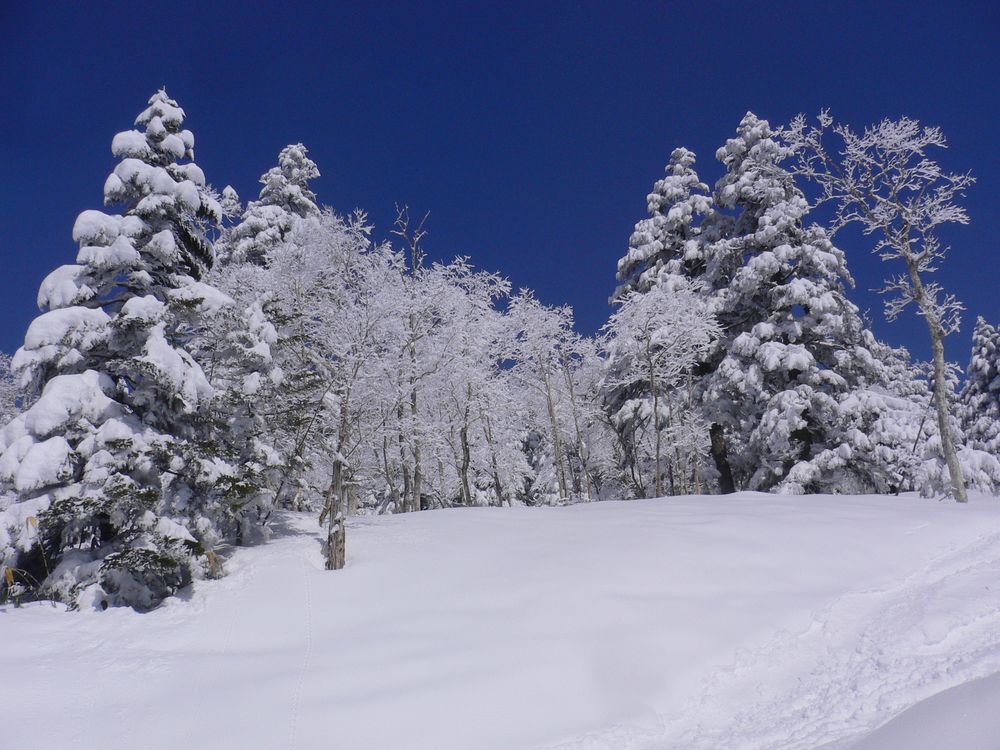 万座温泉スキー場の画像 - 2枚目