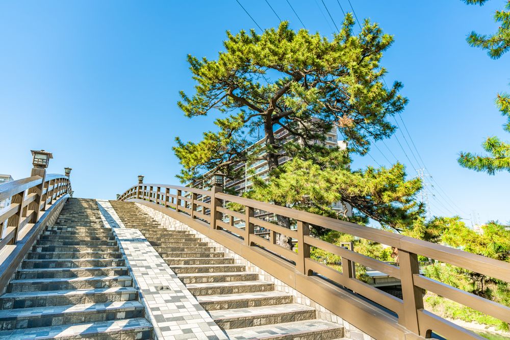 百代橋の画像 - 3枚目
