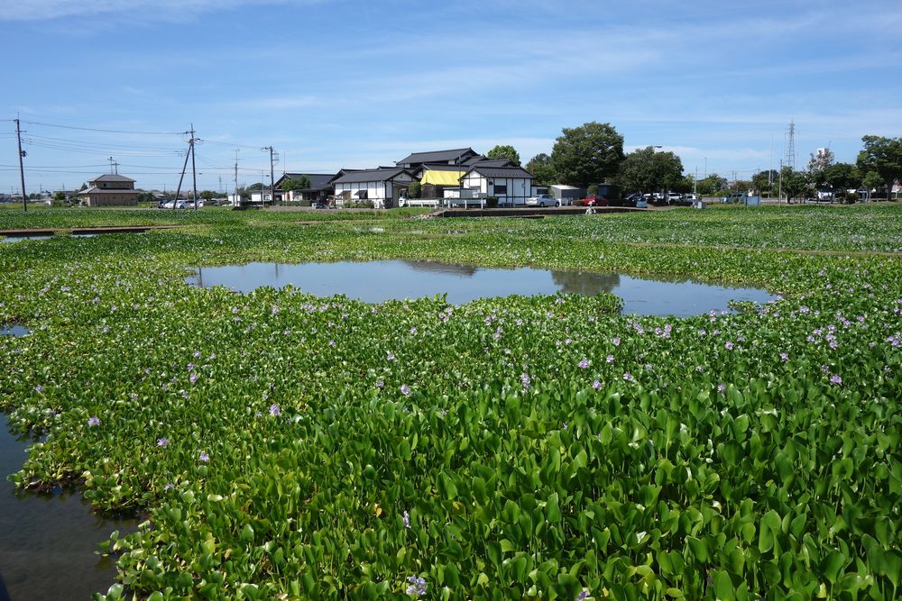 道の駅 童謡のふる里・おおとねの画像 - 3枚目