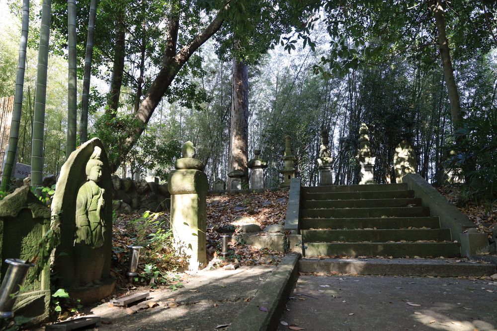 金剛寺・比企館跡の画像 - 3枚目