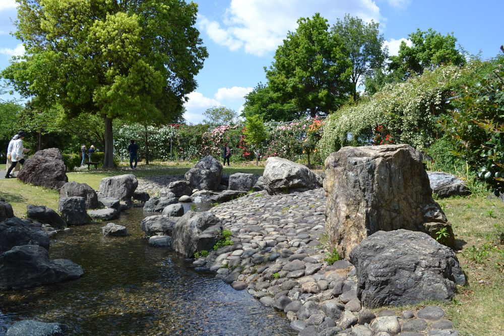 川島平成の森公園の画像 - 4枚目