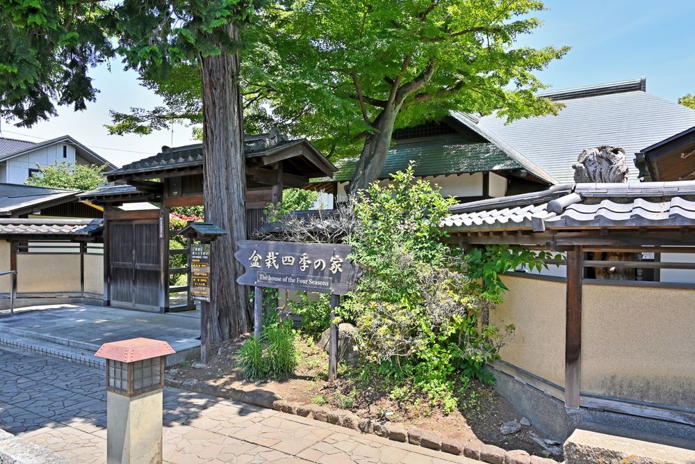 大宮盆栽村 (盆栽園集合地域)の画像 - 3枚目