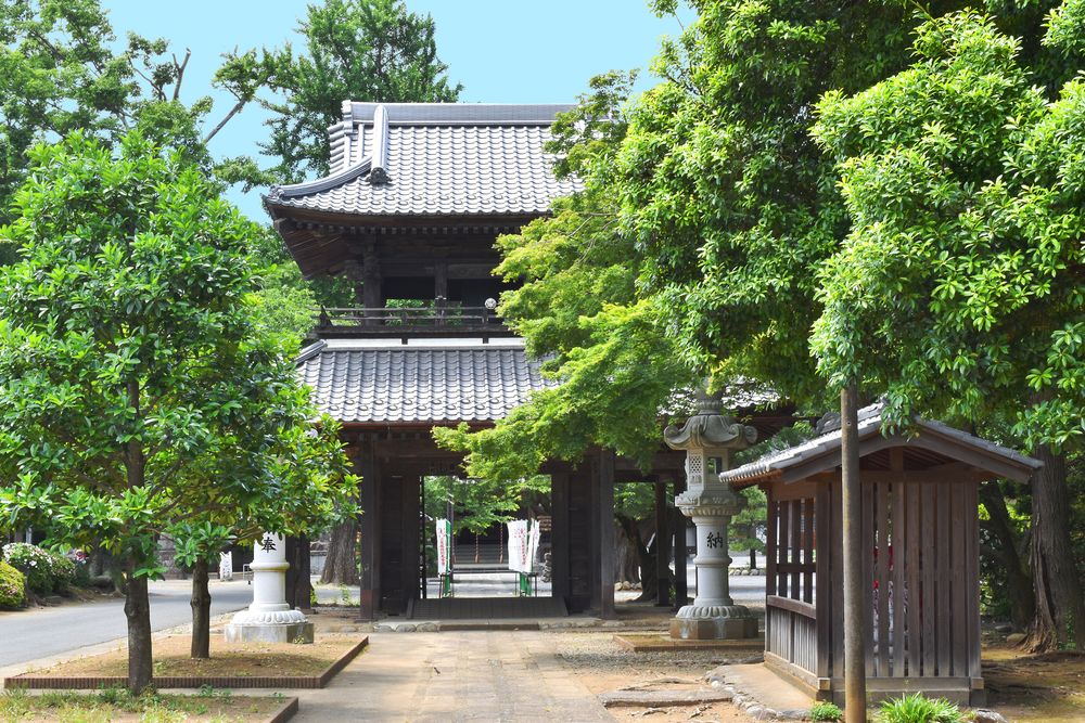 西城沼公園の画像 - 3枚目