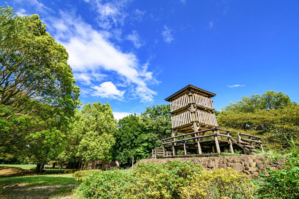 西城沼公園の画像 - 4枚目