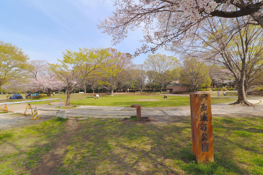 西城沼公園の画像 - 5枚目