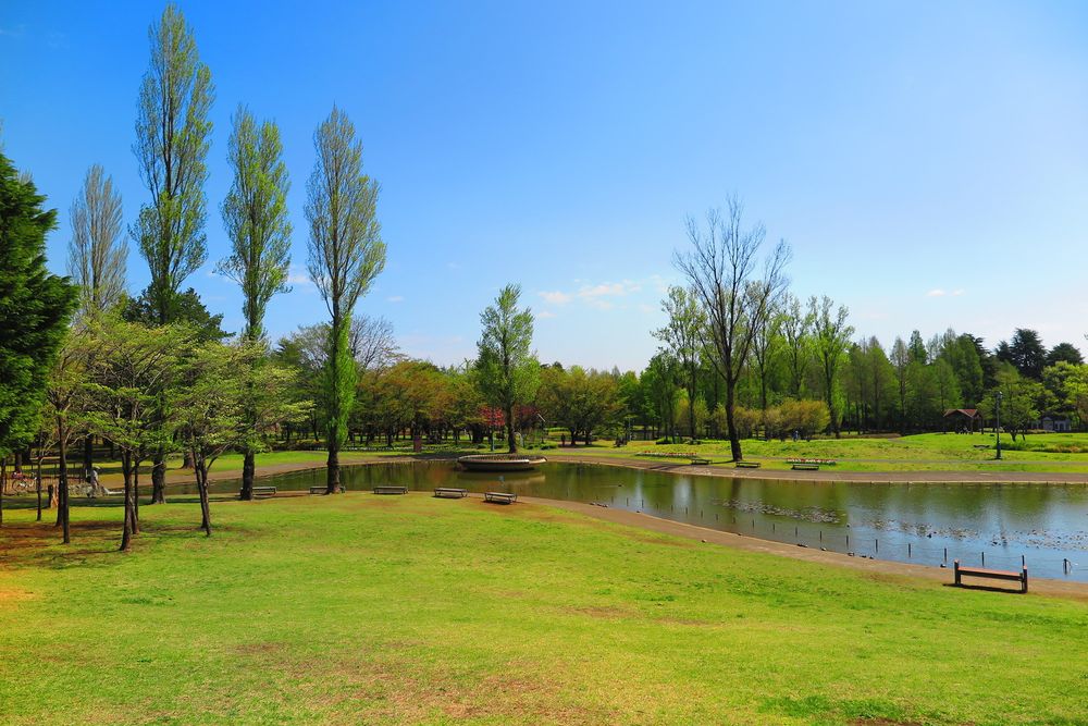 埼玉県営彩の森入間公園の画像 - 2枚目