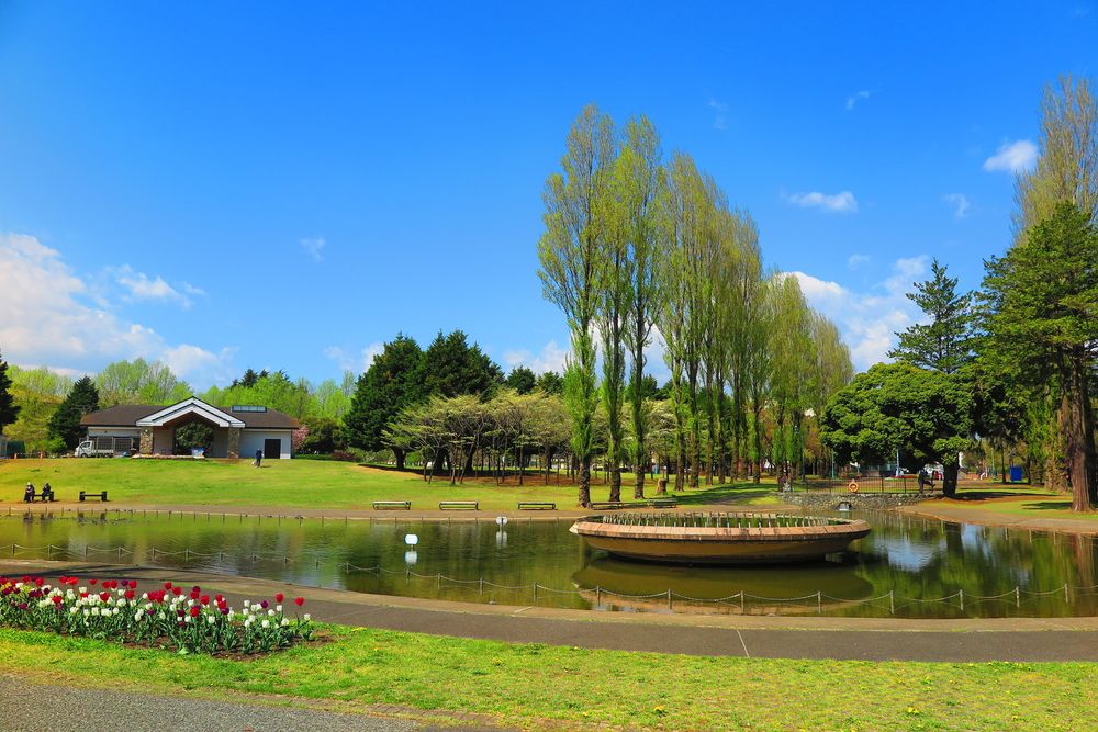 埼玉県営彩の森入間公園