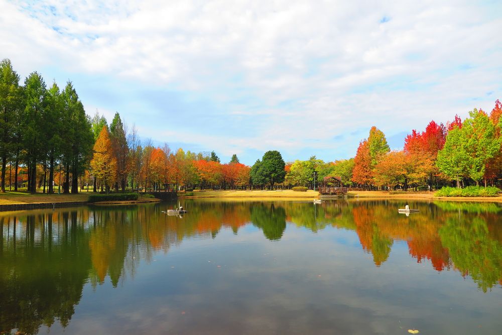 埼玉県営彩の森入間公園の画像 - 3枚目