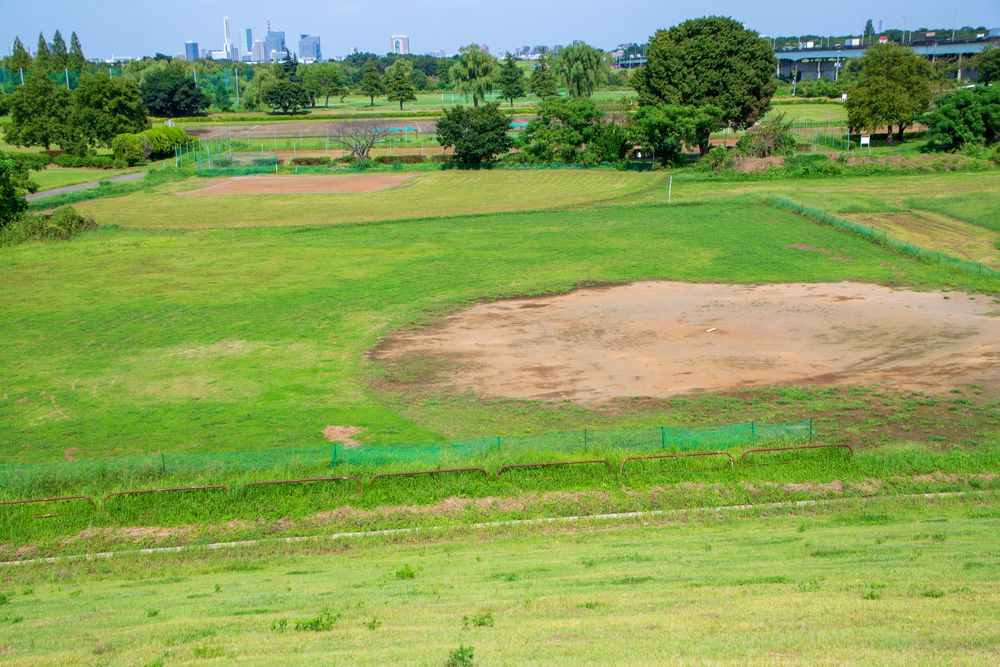 秋ヶ瀬公園の画像 - 3枚目
