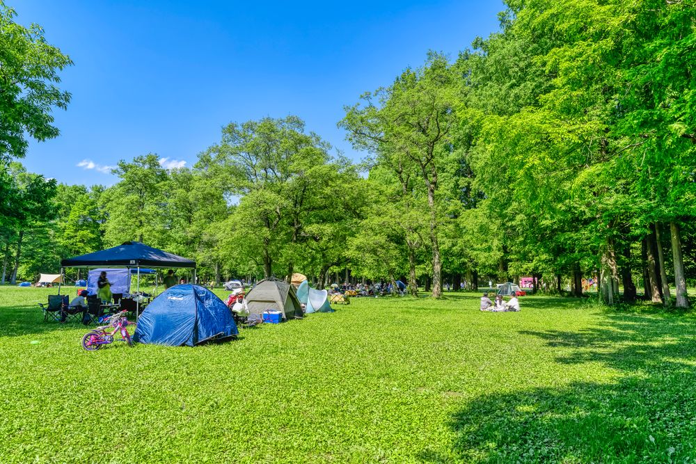 秋ヶ瀬公園の画像 - 4枚目