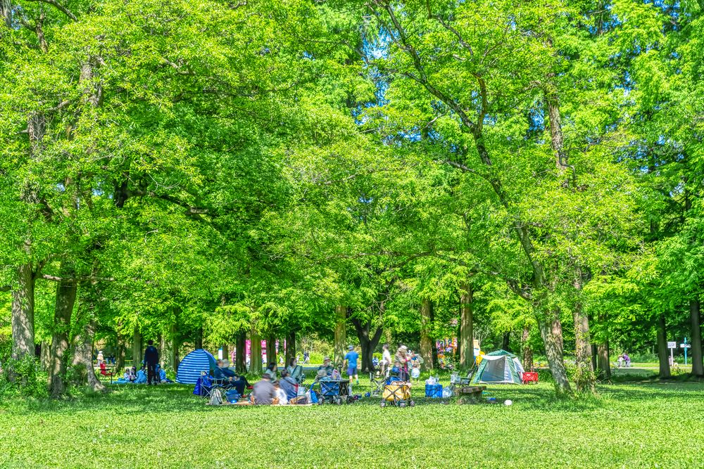 秋ヶ瀬公園の画像 - 5枚目