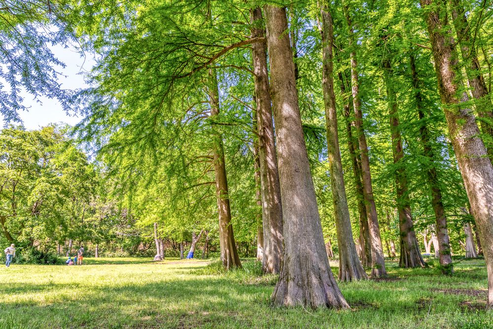 秋ヶ瀬公園