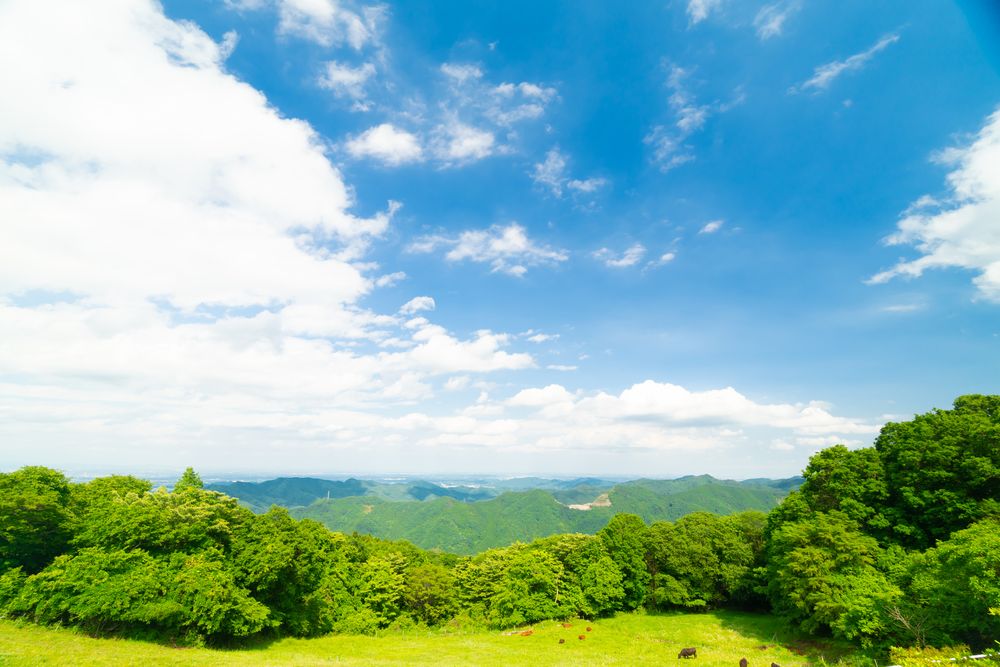 秩父高原牧場(彩の国ふれあい牧場)の画像 - 3枚目