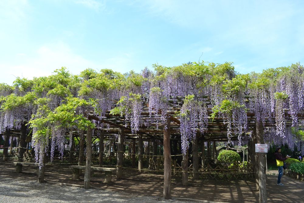 牛島公園の画像 - 3枚目