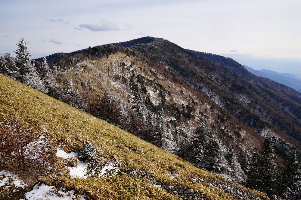 雁坂峠の画像 - 5枚目