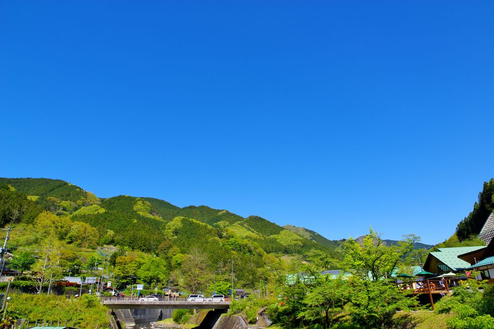 道の駅 果樹公園あしがくぼの画像 - 3枚目