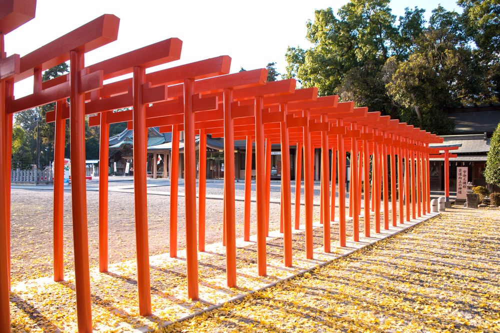 箭弓稲荷神社】のご利益・お守り・アクセス - Prism Japan