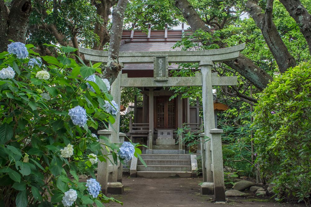 宝戒寺（金龍山 釈満院 円頓宝戒寺）の画像 - 4枚目