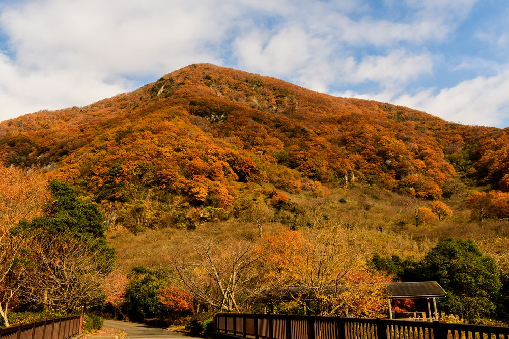 幕山公園の画像 - 3枚目