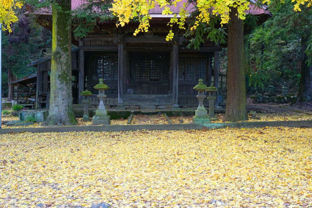金剛寺の画像 - 3枚目
