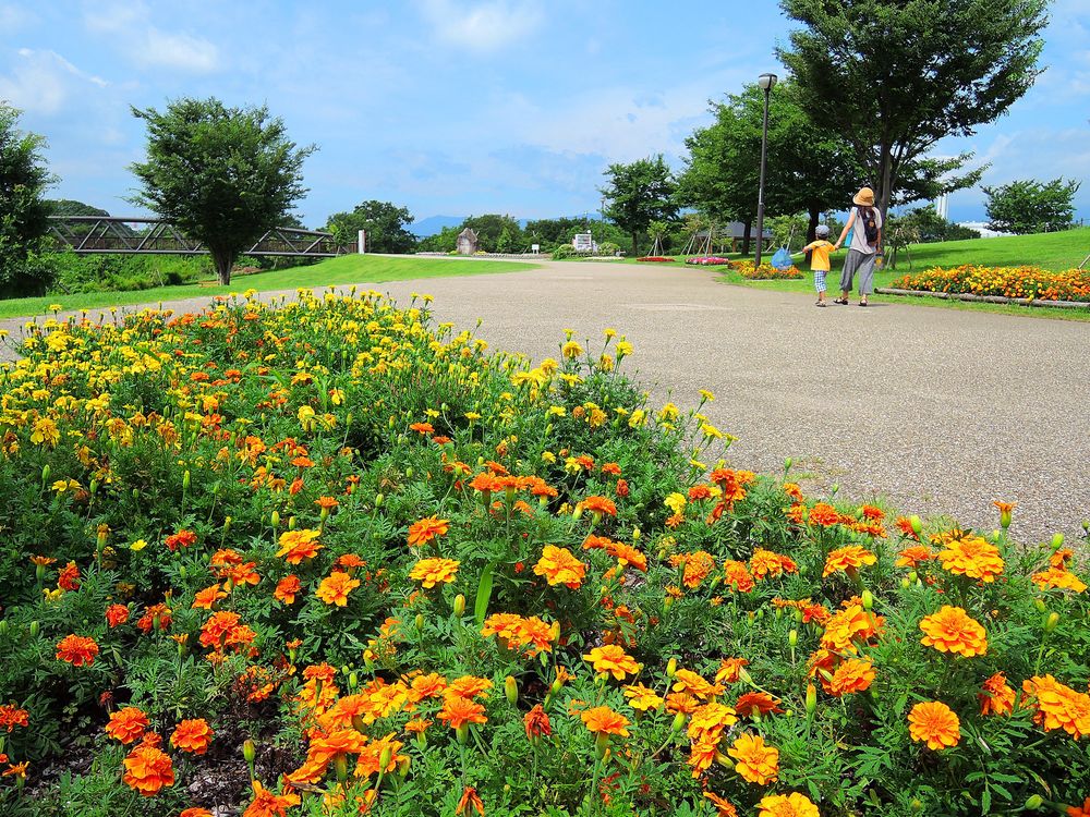 県立相模三川公園の画像 - 2枚目