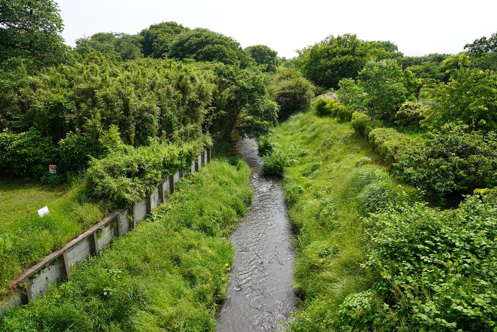 県立相模三川公園の画像 - 4枚目