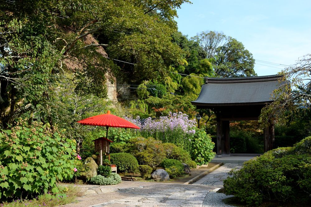 海蔵寺の画像 - 2枚目