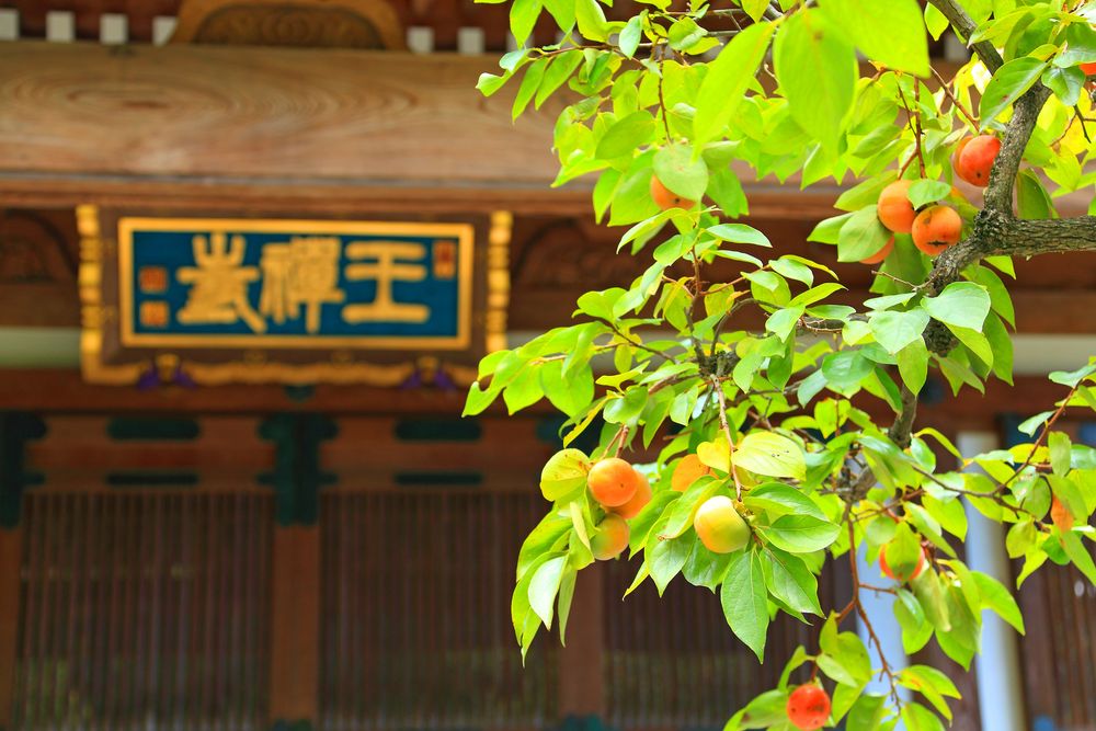 王禅寺の画像 - 2枚目