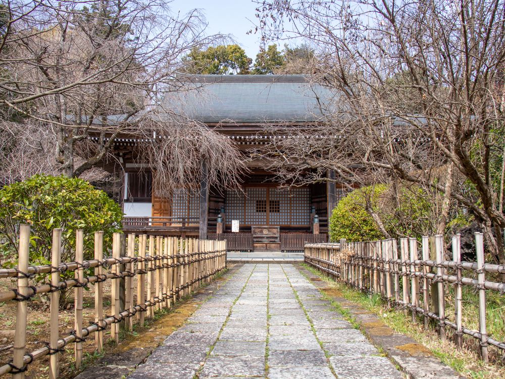王禅寺の画像 - 4枚目