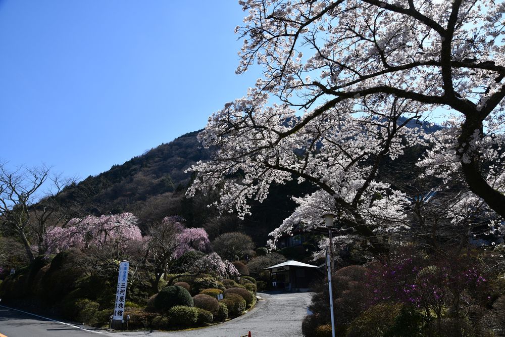 小涌谷蓬莱園の画像 - 4枚目