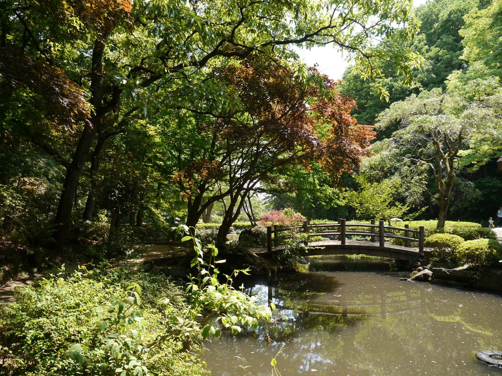神奈川県立東高根森林公園の画像 - 2枚目